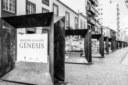 Fotografía en blanco y negro de una exposición editorial de fotografía al aire libre en una calle adoquinada. Grandes marcos de metal muestran Sebastião Salgado - Gênesis y fotografías de naturaleza impresionantes, con edificios de fondo.
