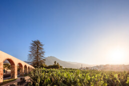 Una panorámica editorial muestra un antiguo acueducto de piedra con arcos a la izquierda, que se extiende sobre un exuberante campo verde de plantas de banano. El sol se pone a la derecha, arrojando una luz cálida sobre las montañas distantes y un pequeño pueblo pintoresco.